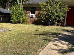 Ether T.'s Lawn Service service result