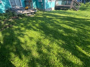 Debbie R.'s Lawn Service service result