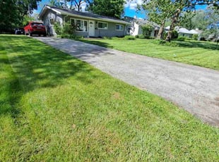 Nopphada P.'s Lawn Mowing Service service result