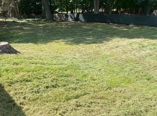 Emily H.'s Lawn Mowing service result