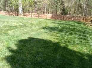 Chris v.'s Lawn Care service result