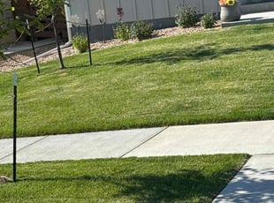 Anumeha K.'s Lawn Care service result