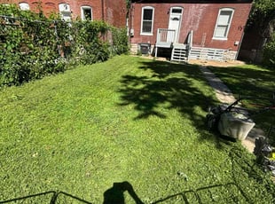 Asumini K.'s Lawn Mowing service result