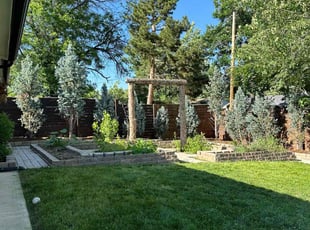 Weeding by Chesare Cordova for Aaron B. in Broomfield, CO