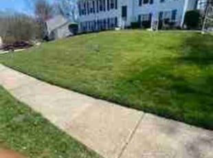 Martha H.'s Lawn Mowing Service service result