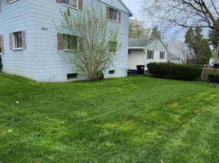 Thomas P.'s Yard Cutting service result