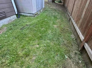 Kimberly H.'s Lawn Maintenance service result