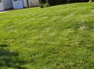 Brian B.'s Lawn Care service result