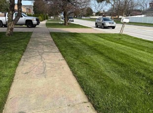 Melanie H.'s Lawn Care service result