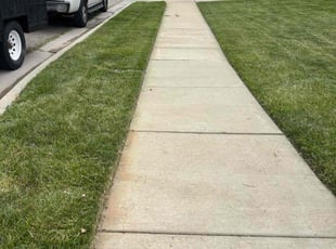 Claudia B.'s Lawn Maintenance service result