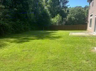 Shawn S.'s Lawn Mowing service result