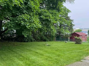 Marten D.'s Lawn Service service result