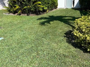 Israel C.'s Yard Cutting service result