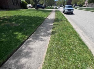 Steph S.'s Lawn Care service result