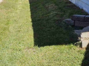 Michele N.'s Lawn Mowing Service service result