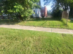 Chelsea M.'s Grass Cutting service result