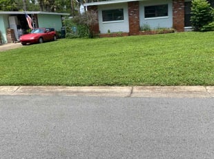 Pablo O.'s Lawn Mowing service result