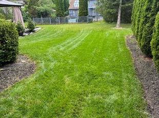 Brian J.'s Lawn Care service result