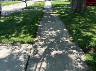 Janis M.'s Lawn Mowing service result