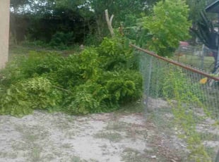 Weeding by Shane Ray for Renee D. in Titusville, FL