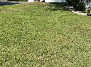 Von H.'s Lawn Service service result