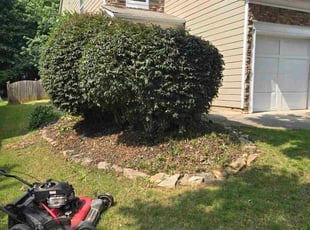 Bush Trimming by Eli Fortune for Megan G. in Cumming, GA