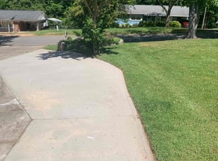 Alex C.'s Lawn Maintenance service result
