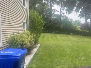 Denise S.'s Lawn Care service result