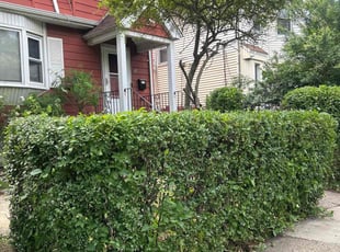 Bush Trimming by Esther Castro for Nayo W. in Newark, NJ