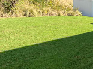 Wanda B.'s Lawn Mowing Service service result