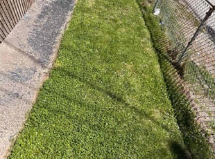 Daniel R.'s Grass Cutting service result
