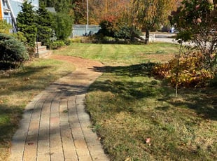 Mary G.'s Lawn Mowing service result