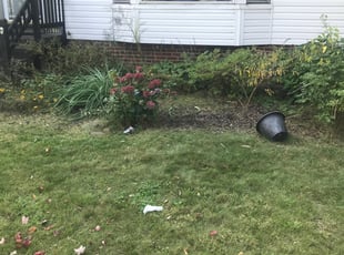Weeding by Scott Basinger for Misha P. in Cleveland, OH