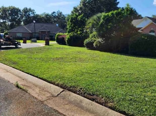 Elizabeth M.'s Lawn Mowing service result
