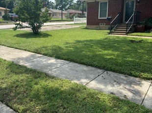 Sharifa W.'s Lawn Mowing Service service result