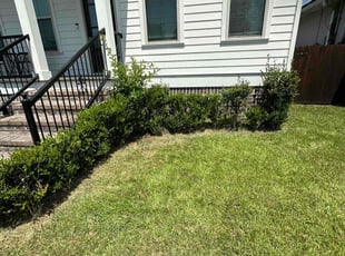 Weeding by Peter Williams for Natalie C. in New Orleans, LA