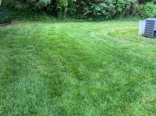Erinne S.'s Lawn Mowing service result