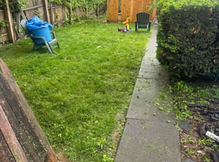 Bush Trimming by Kenneth Williams for Lashawna M. in Easton, PA