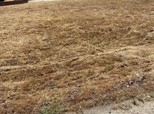Cleanups by Christian Perez for Susan C. in Chino Hills, CA