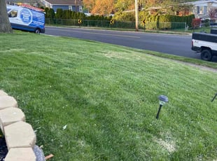 Phillip E.'s Lawn Care service result