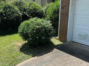 Bush Trimming by Marcos Lopez for Rashaad T. in Kennesaw, GA