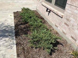 Cleanups by Connor Wilson for Yining W. in Coppell, TX