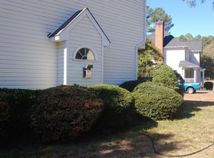 Bush Trimming by Chris Thomas for Fred S. in Midlothian, VA
