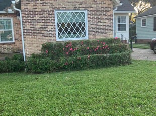 Marilyn C.'s Lawn Maintenance service result