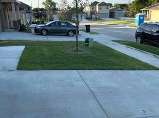 Amitabh G.'s Lawn Service service result