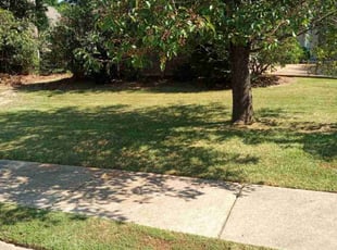 Riley A.'s Lawn Maintenance service result