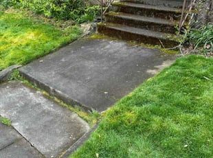 Cleanups by Ricardo Lobatos Vega for Lauren R. in Portland, OR
