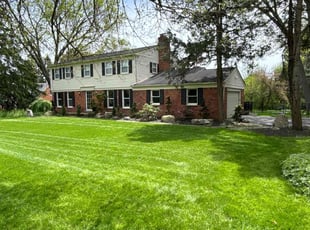 Brandy C.'s Lawn Mowing Service service result