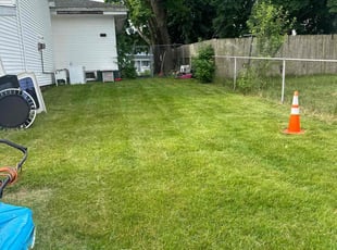 Andrew A.'s Lawn Care service result