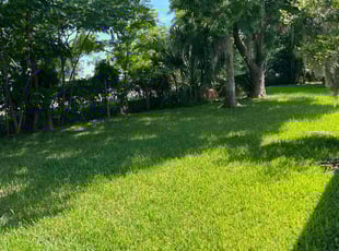 Stephanie N.'s Lawn Service service result
